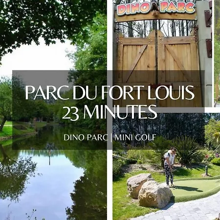 *l'oasis Du Coeur De Ville*spacieux Et Moderne Apartment Gravelines